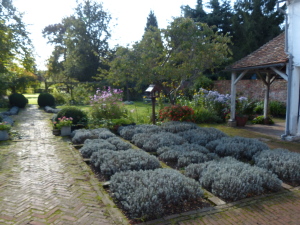 Paycockes garden