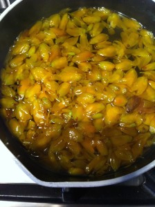 simmering gorse blossoms