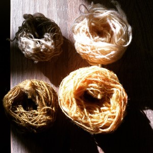 top: gorse, bottom: onion skins