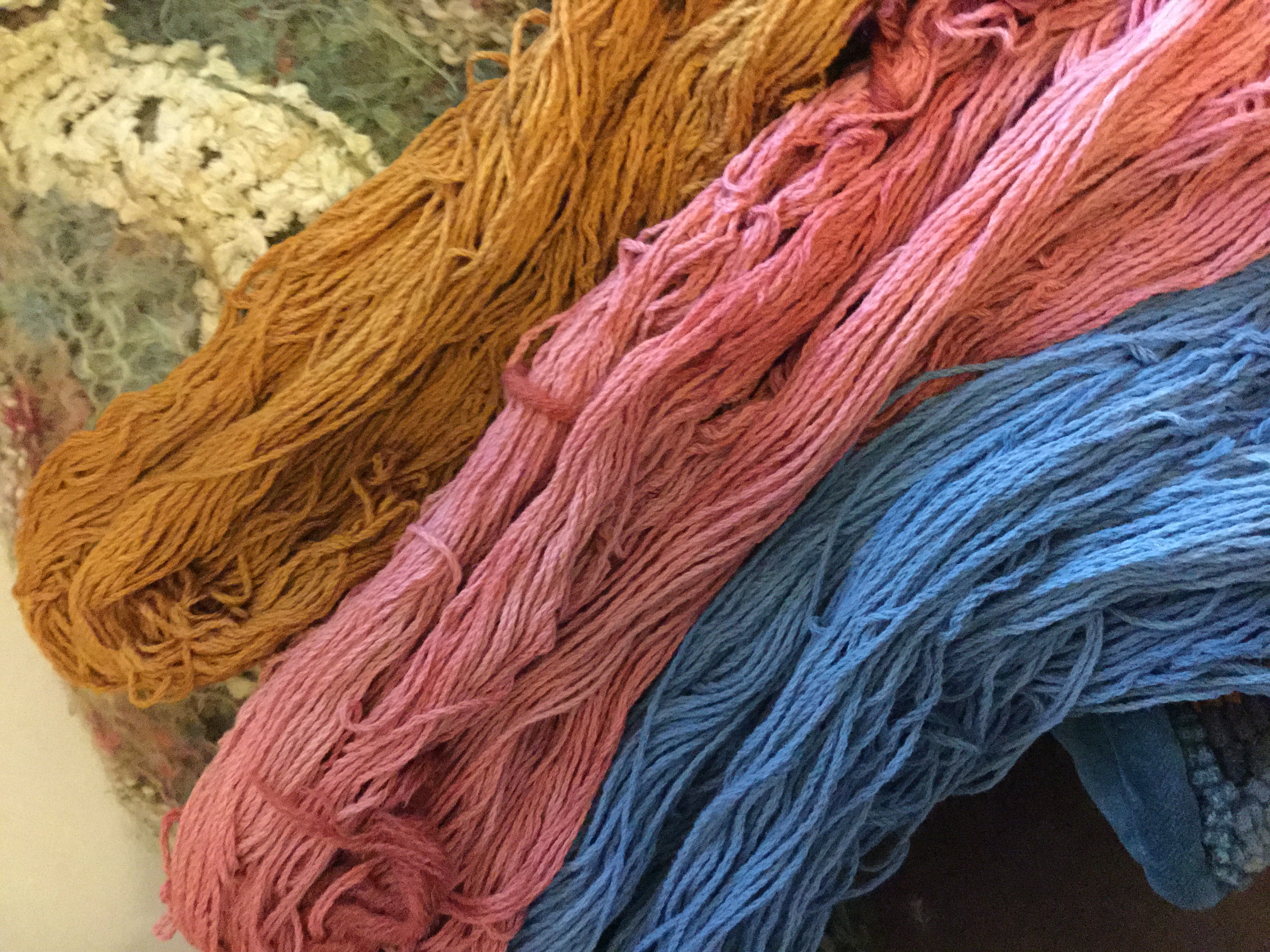 Indigo fibre dyeing  Wild Colours natural dyes